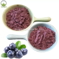 Best quality blueberry fruit juice powder